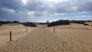 2023-GC--Mapalomas dunas-S123-051.jpg